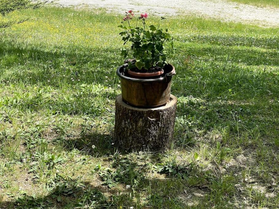 Willa Casa Rifugio Olivieri Falera Zewnętrze zdjęcie