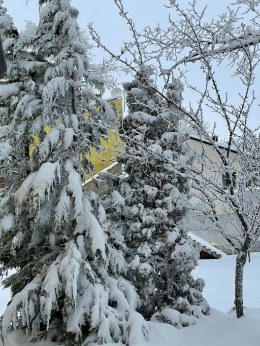 Willa Casa Rifugio Olivieri Falera Zewnętrze zdjęcie